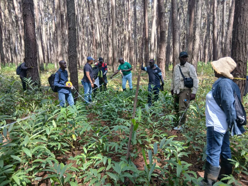 Mission de collecte de données carbone dans les mangroves du Congo : consolider le dispositif du SYNA-MNV